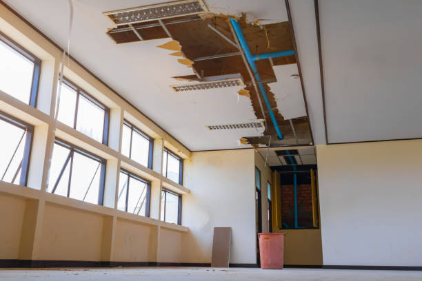 Best Emergency water damage restoration  in Rockville, MN