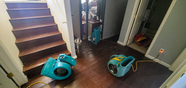 Water damage restoration process in Rockville, MN