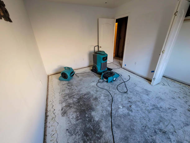 Best Commercial water damage restoration  in Rockville, MN