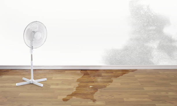Best Residential water damage restoration  in Rockville, MN