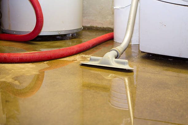 Best Water damage restoration near me  in Rockville, MN