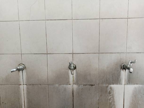 Best Water damage restoration mold remediation  in Rockville, MN