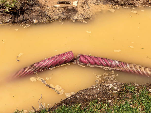 Rockville, MN Water damage restoration Company