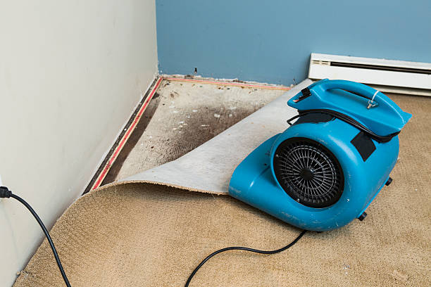 Best Water damage restoration near me  in Rockville, MN